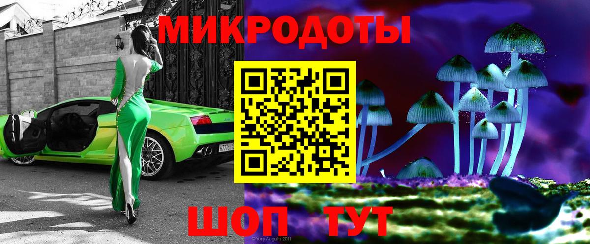 Галлюциногенные грибы мухоморы Дубна